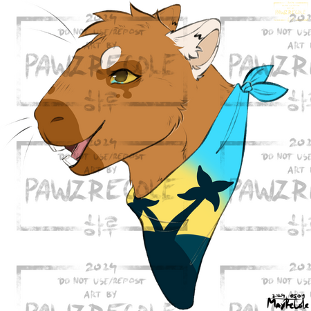 Lined Headshot