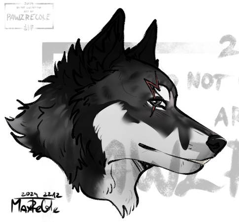 Lined Headshot