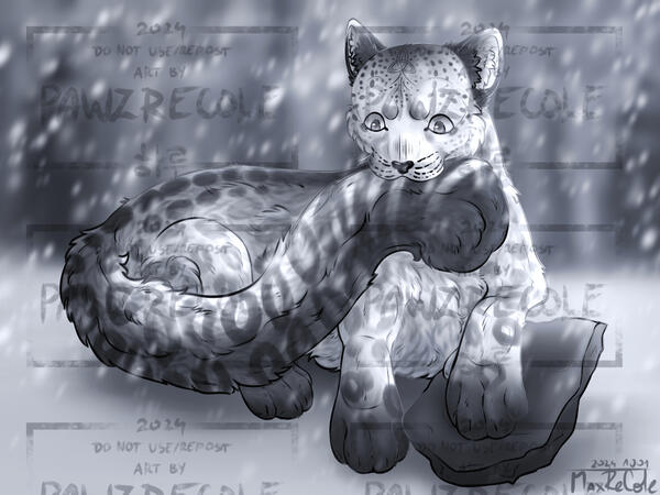 Lined &amp; Shaded Fullbody